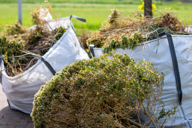 Best Basement Cleanout  in Divernon, IL